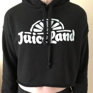 luiceland cropped sweatshirt